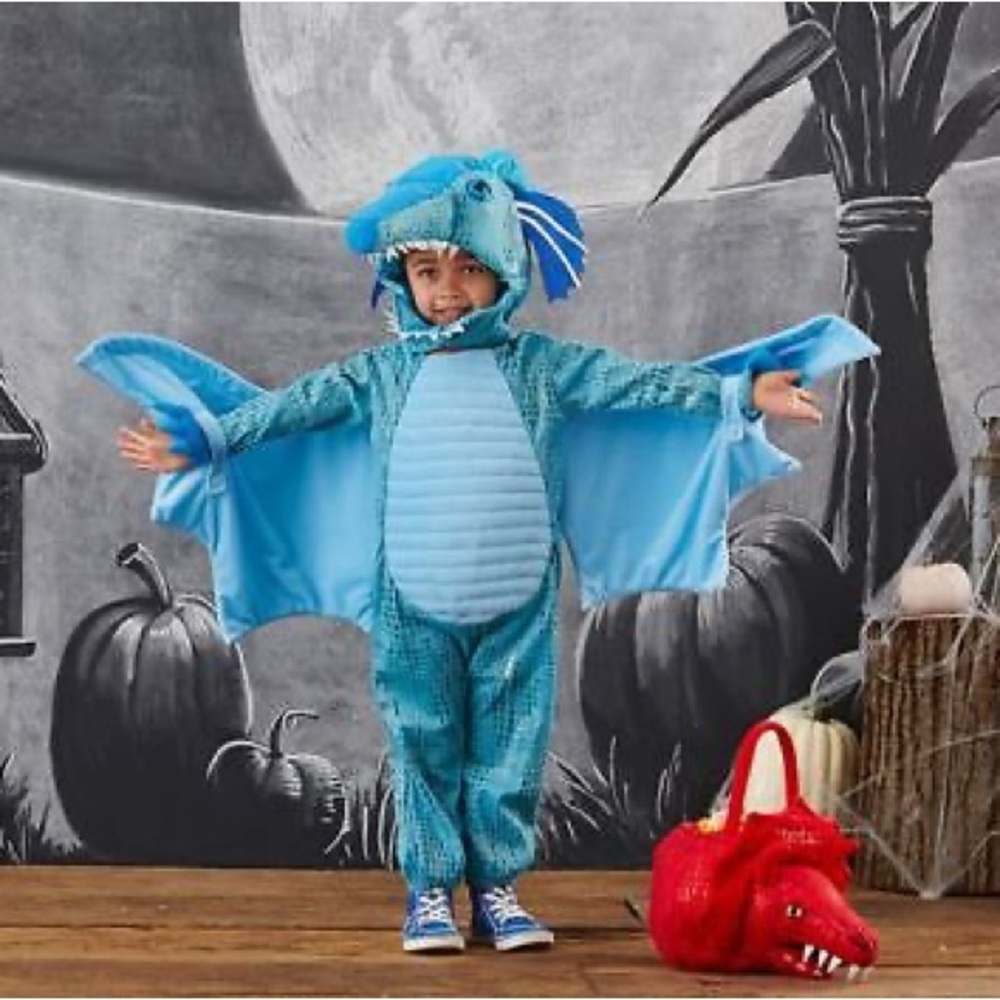 Toddler Pottery Barn dinosaur costume 2/3t